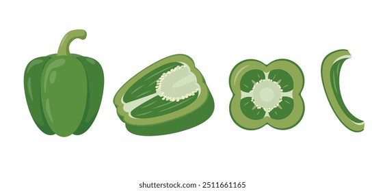 Set of green bell peppers and slices. Whole and parts of farm paprika plant icons. Organic vegetables vegetarian food. Vector illustration isolated on white background.