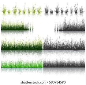 Set of green and black grass design elements isolated on white background. Vector illustration.