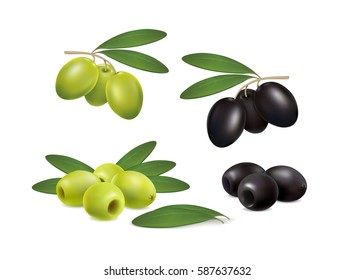 set of green and black olives on white background