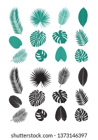 Set of green and black tropical leaves. Isolated black silhouettes of leaves. Sketch, design elements. Vector.