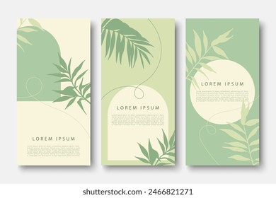 Conjunto de Plantillas de fondo botánico verde para cubiertas, carteles, Anuncios, folletos publicitarios, tarjetas. Diseño de cubierta de Vector de primavera con ramas y hojas.