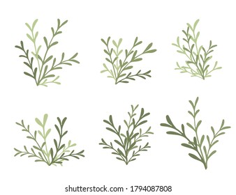 Conjunto de ramas verdes con hojas ilustración vectorial plana sobre fondo blanco