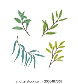 Set of green branches with leaves. Flat vector illustration.