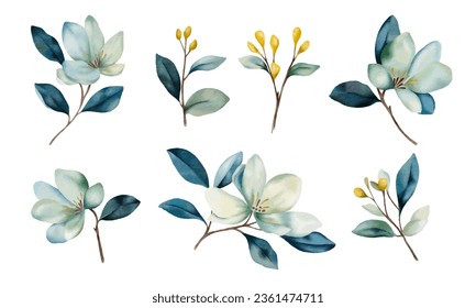 Set of green branches with leaves and flowers isolated. Magnolia flower collection. Great as stickers, botanical decor, flower shop logo