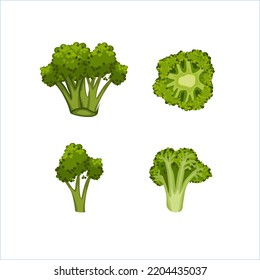 Set of green broccoli pieces on white background. vector.