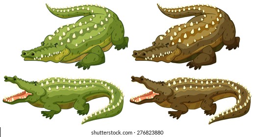 Set of green and brown crocodiles