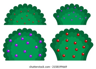 Set green bush with berries isolated white background