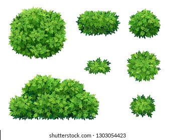 Set of green bush and tree crown of different shapes. Ornamental plant shrub for decorate of a park, a garden or a green fence. Thick thickets of shrubs. Foliage for spring and summer card design.