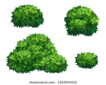 Set of green bush and tree crown of different shapes. Ornamental plant shrub for decorate of a park, a garden or a green fence. Thick thickets of shrubs. Foliage for spring and summer card design.