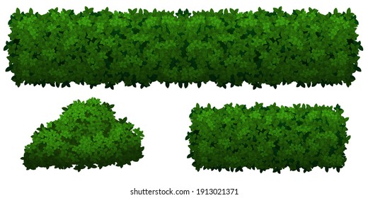 Set of green bushes and herbs of different shapes, isolated on white background. Dense shrubs to decorate parks and gardens. Vector illustration