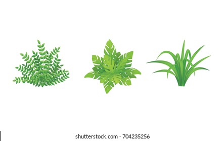 Set of Green Bushes Illustration.Garden plants with Various Shape