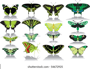 set of green butterflies