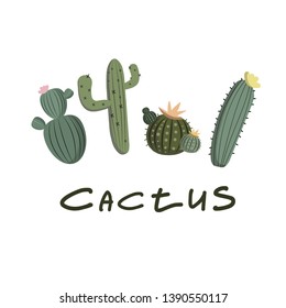 Set Green Cactus vector drawing in doodle style on white background. Cactus Freehand drawing. The inscription. Vector
