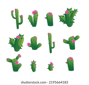 Set of green cactuses with pink flowers flat style, vector illustration isolated on white background. Collection of different natural desert plants for design and print