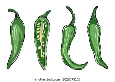 Set of green chili peppers, color, vector