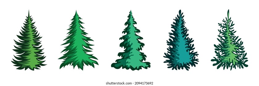 Set of green christmas trees on the white background. Vector winter fir in cartoon style.