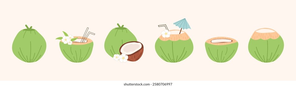 set green coconut. drinking coconut. A tropical fruit. coconut grew on a palm tree. coconut milk. an exquisite cocktail. a fruit painted in a flat style. vector. delicious milk.