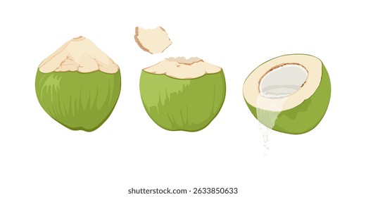 Set with green coconuts. Hand drawn drinking coconut. Cocktail green coconut. Leaking coconut water.	