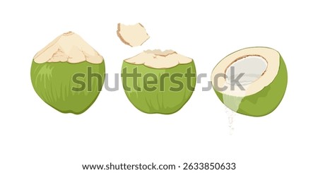 Set with green coconuts. Hand drawn drinking coconut. Cocktail green coconut. Leaking coconut water.	