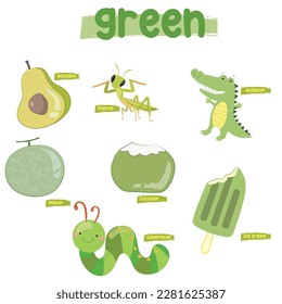 Set of green color objects. Primary colours flashcard with green elements. Learning colors for kids. Vector illustration file. Learning material for toddlers.