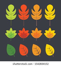 Set of green and Colorful autumn leaves design elements.Isolated from the background. Simple cartoon flat style, vector illustration.