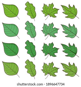 Conjunto de ícono de hoja de concepto verde, placa, hoja de primavera y símbolo de floración de árbol, ilustración vectorial plana.