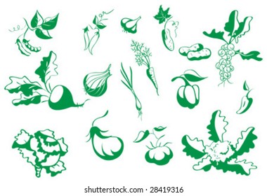 Set of green contour vegetables