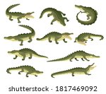 Set of green crocodile character big carnivore reptile cartoon animal design flat vector illustration isolated on white background