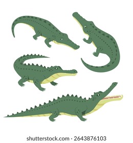 set of Green crocodile vector illustration isolated 