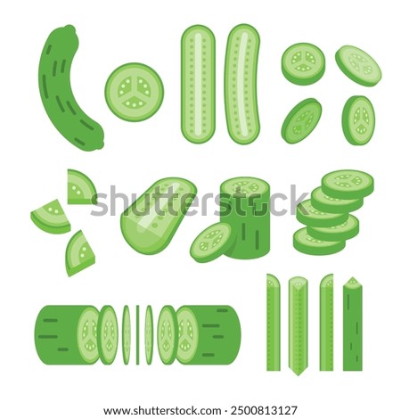 Set of green cucumber, Farm fresh cucumber product emblem for grocery shop, Slides, long and cross sections, and different positions, simple flat vector illustration of vegetables and fruits.