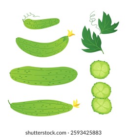 set of green cucumbers on a white background. healthy, eco-friendly food made from fresh vegetables.