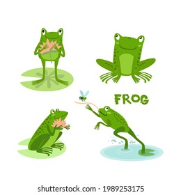 Set of green cute frogs. Funny frogs in various poses - sitting, standing, jumping, holding lily flowers. Cartoon animals group, happy toads. Vector illustration, isolated in white, flat design 
