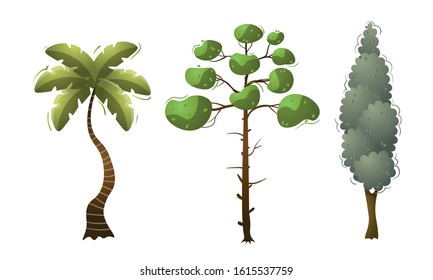 Set of green deciduous trees isolated on white vector illustration