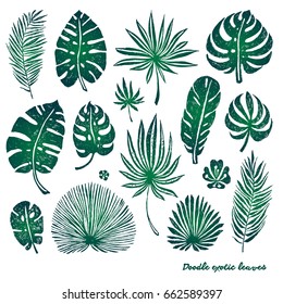 Set of green doodle exotic palm leaves and plants on a white background. Vector botanical illustration, design elements.