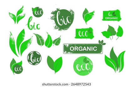 Conjunto de ícones e folhas verdes ecológicos. Selos ecológicos para alimentos. Coleção de logotipos orgânicos. Adesivos biológicos naturais. Modelo de pacote para alimentos veganos, naturais, biológicos, orgânicos.