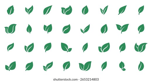 Conjunto de verde eco deixa ícone folha. Ecologia de folha verde elemento de natureza vetor ícone conjunto, ícone de folha pacote, ecologia de folha verde elemento de natureza vetor