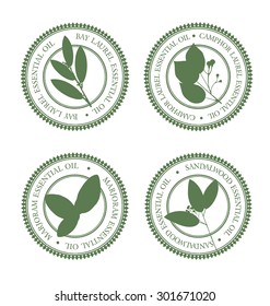 Set of green essential oil labels. Bay laurel, Camphor Laurel, Marjoram, Sandalwood.