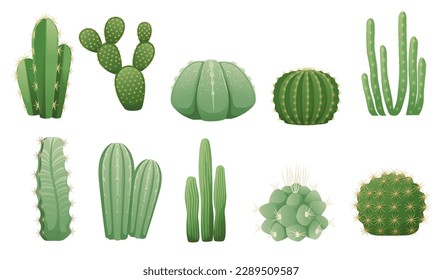 Set of green exotic desert cactus with thorns decorative plant vector illustration isolated on white background