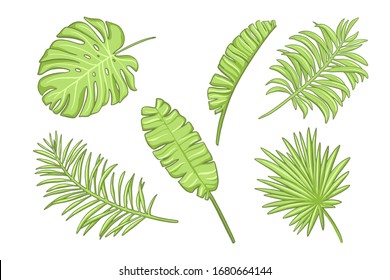 Set of green exotic leaves. Design elements in cartoon style.