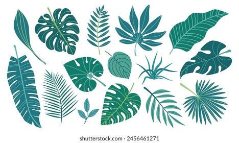 Set of green exotic leaves. Tropical leaves in simple flat design isolated on white background. Vector illustration.
