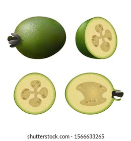 Set of green feijoa. Isolated half of green colorful feijoa, whole fruit, half, and juicy slice on white background. Realistic colored juicy green feijoa.