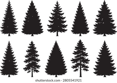 Set of Green Fir Tree Silhouette Vector Icons