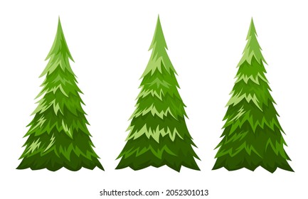 Set of green fir trees. Three different trees. Vector illustration