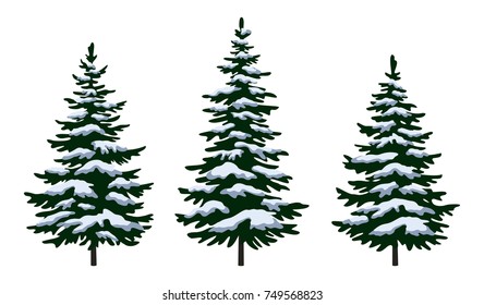 Set Green Fir Trees with White and Blue Snow, Winter Holiday Christmas Decoration Isolated on White Background. Vector