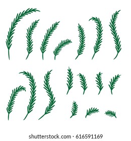 Set of green floral elements and leaves. Branches of tree and twigs of grass. Vector illustration isolated on transparent backdrop.