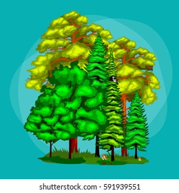 Set green forest summer trees collection in nature, pine with branch foliage and leafs isolated illustration, environment protection ecology concept, landscape design element for park or garden