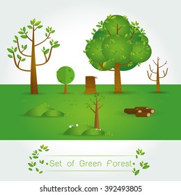 Set of Green Forest, trees and bushes on white background Vector illustration