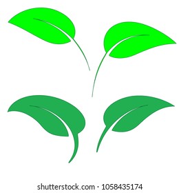 Set of green fresh leaves, Clip Art, vector illustration