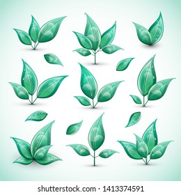 Set of green fresh leaves isolated on white background. Vector illustration.