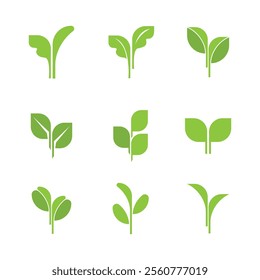 Set of green fresh leaves vector green health botany herb plant symbol